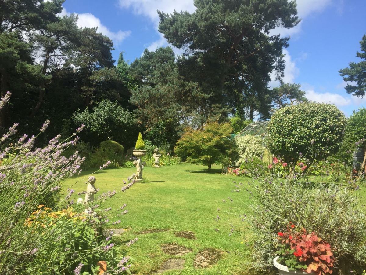 Heatherdene House Corfe Mullen Esterno foto